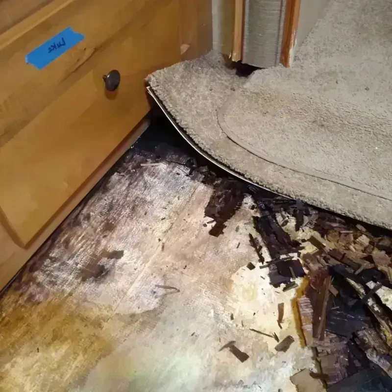 Best Wood Floor Water Damage Service in Marana, AZ